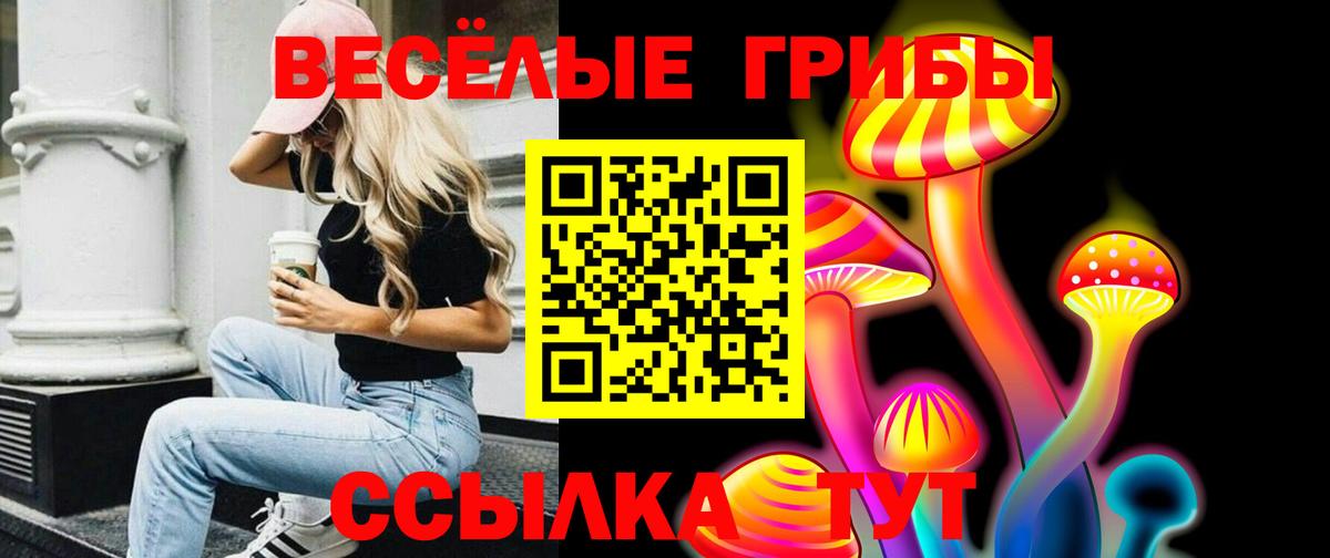 Щёлково  Псилоцибиновые грибы ЛСД  Псилоцибиновые грибы MAGIC MUSHROOMS  Вход с VPN 